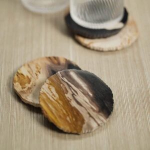 Curio Bay Petrified Wood Coasters – Natural Stone Coasters